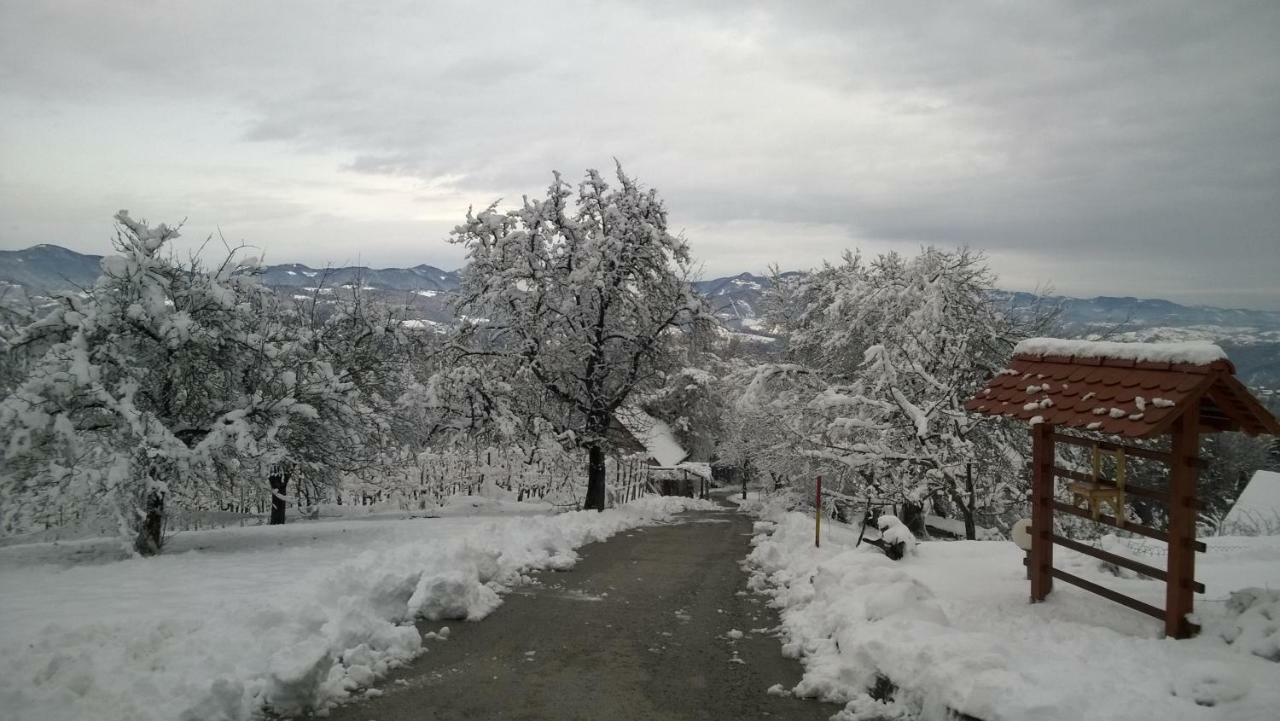 Villa Getaway "At The Three Lights" Sevnica Esterno foto